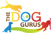 The Dog Gurus website home page
